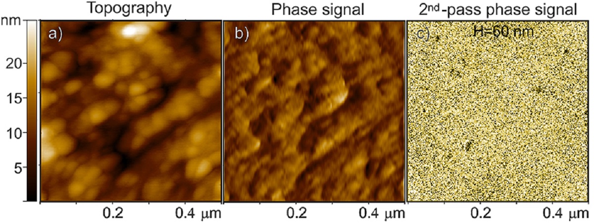 Figure 7 from “From Polymer to Magnetic Porous Carbon Spheres: Combined Microscopy, Spectroscopy, and Porosity Studies” by F. Cesano et al:
Three images described from left to right of Fe3O4-based carbon microspheres: first image on the left (a) AFM topography, middle image (b) the related phase signal, and the image on the right (c) MFM phase shift images at H = 60 nm lift height obtained in a second scan. The phase shift range in (c) is ~ 0.6 m°.
