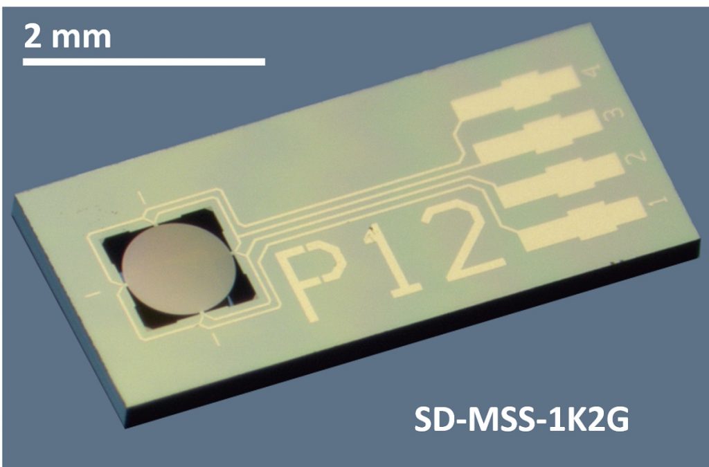 image of NANOSENSORS Membrane-type Surface-stress Sensor for R&D in olfactory sensing