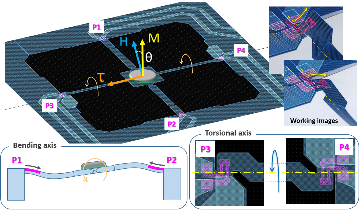 drawing illustrating the principle of operation of the NANOSENSORS SD-MSS-1KTM membrane-type surface stress sensor dedicated for torque magnetometry