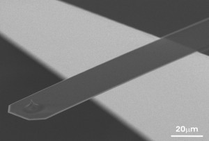 SEM image of an uniqprobe cantilever.