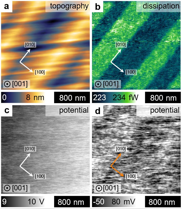 Supplementary Figure 1 a – d from “Macroscopic manifestation of domain-wall magnetism and magnetoelectric effect in a Néel-type skyrmion host” by K. Geirhos et al:

Typical ferroelectric do-main pattern observed on the (001) cleaved GaV4Se8 crystal surface  atT=10  K.
a, The topography is characterized by stripes roughly parallel to the [110] axis and folds parallel to the [010]  axis. The latter originate in the differently oriented distortion of the ferroelastic domains. The color scale corresponds to the z-displacement of the tip.
b ,In the dissipation channel of the nc-AFM every second domain appears bright. For the non-magnetic tip the dissipation originates from electric interactions. The dissipated power is indicated by the color scale. Please have a look at the full article to view the full supplementary figure.
NANOSENSORS Platinum Silicide PtSi-FM AFM probes were used for the imaging.