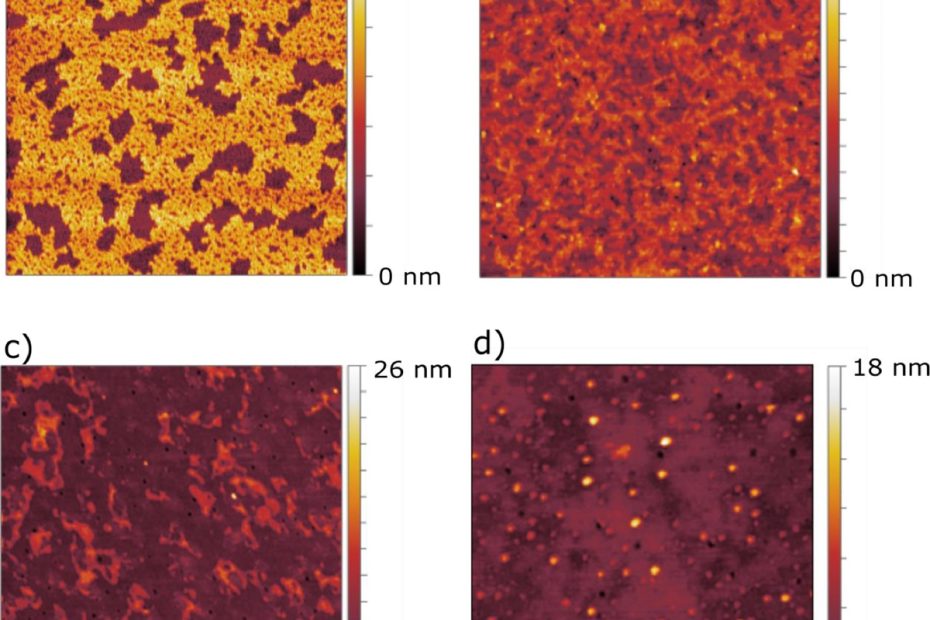 Fig. 7 from “Cerosomes as skin repairing agent: Mode of action studies with a model stratum corneum layer at liquid/air and liquid/solid interfaces” by F. Strati et al: AFM scans of a) SC model monolayer transferred via LB method onto mica support, b) SC model monolayer after injection of cerosomes, c) SC model monolayer after injection of cerosome + S75-3 formulation, and d) SC model monolayer after injection of S75-3 liposomal formulation. All samples were transferred via the LS method onto glass substrate. Each experiment was performed at 20°C and the subphase used for a) was Millipore water while for b), c), and d) the same aqueous solutions have been used as for the formulation of the liposomes. Topographical images were recorded in liquid state using NANOSENSORS uniqprobe qp-BioT AFM probes in a standard liquid cell containing the needed buffer.