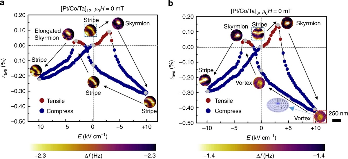 Figure 2 from “Electric-field-driven non-volatile multi-state switching of individual skyrmions in a multiferroic heterostructure” by Yadong Wang et al.:
Electric-field-induced switching of individual skyrmion.
The transferred average strain εave and corresponding magnetic domain evolution processes in the d ~ 350 nm a [Pt/Co/Ta]12 and b [Pt/Co/Ta]8 nano-dots in a cycle of E ranging from +10 to −10 kV cm−1. Positive εave (red dots) represents tensile strain while negative εave (blue dots) represents compressive strain. μ0H represents the external magnetic field except that from the MFM tip and here μ0H is equal to be 0 mT. The inset of b illustrates the spin texture of the magnetic domain that is encompassed by the red box. The stripe domain enclosed by the black box shows the initial state of the magnetic domain evolution path. The gray dots represent the corresponding electric field for the MFM images. The MFM contrast represents the MFM tip resonant frequency shift (Δf). The scale bar represents 250 nm.

NANOSENSORS™ PPP-LM-MFMR low moment magnetic AFM probes were used