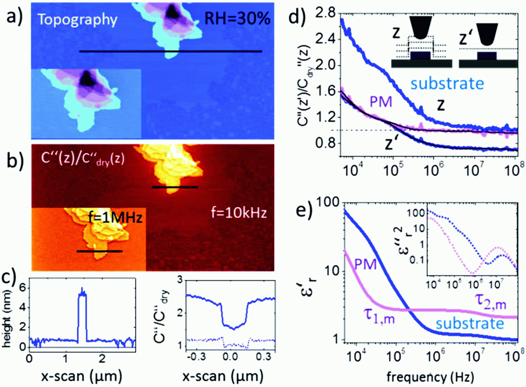 Fig. 2 from “Nanoscale dipole dynamics of protein membranes studied by broadband dielectric microscopy” by Gramse et al.: image a) shows the AFM topography and image b) shows the corresponding C′′(z)/C′′dry(z) image obtained in lift mode at z = 10 nm above the last scan line and at a frequency of ω = 10 kHz (inset at 1 MHz). The corresponding topography and C′′(z)/C′′dry(z) profile lines are shown in  image c). Solid lines correspond to profile lines at 10 kHz and the dashed line to 1 MHz. Image d) shows the normalized dielectric spectra on the substrate and protein membrane at constant height z′ = 15 nm and lift mode z = 15 nm. Black solid lines represent fitting with eqn (1) and (2). image e) shows the resulting complex dielectric functions ε′r(f) and ε′′r(f)2 (using the relation ε′′r(f) = −(π/2∂)ε′r/∂ln(2πf)38). All measurements are carried out at 25 °C using conductive and wear-resistant Platinum Silicide AFM probes  (PtSi-FM ) from NANOSENSORS (Germany). Humidity was changed and left to stabilize for 2–3 hours. Imaging conditions were adjusted to maintain the lift distance for the dielectric images identical.