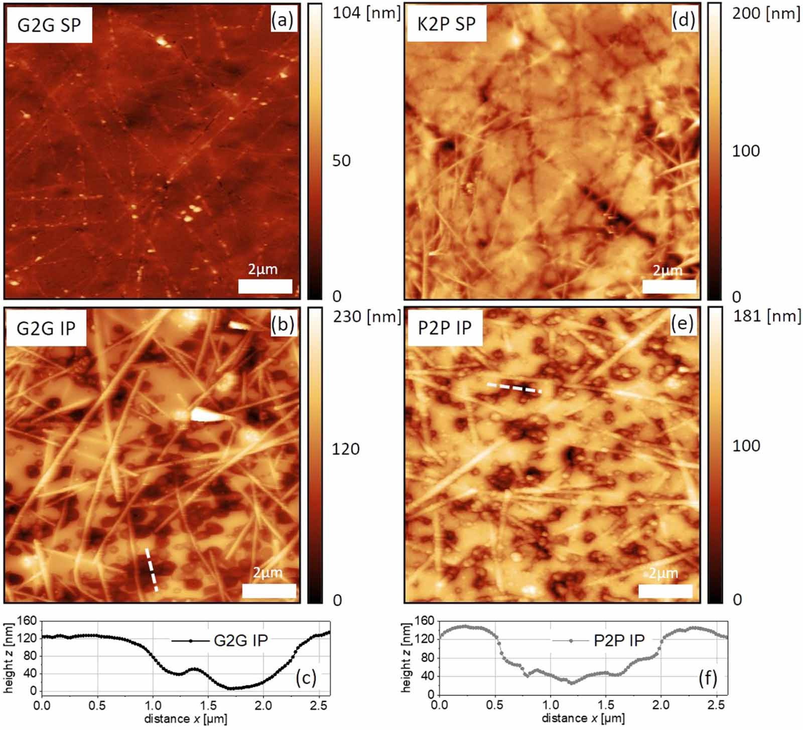 Figure 5. from “Gentle plasma process for embedded silver-nanowire flexible transparent electrodes on temperature-sensitive polymer substrates “ by Lukas Kinner et al.: The sample surfaces were characterized with atomic force microscopy (AFM) in tapping mode, using high-resolution NANOSENSORS™ SuperSharpSilicon™ SSS-NCHR AFM probes.
AFM images of the AgNW electrodes for: (a) G2G SP, (b) G2G IP, (c) height profile for the dashed line marked in (b), (d) K2P SP, (e) P2P IP, (f) height profile for the dashed line marked in (e).
