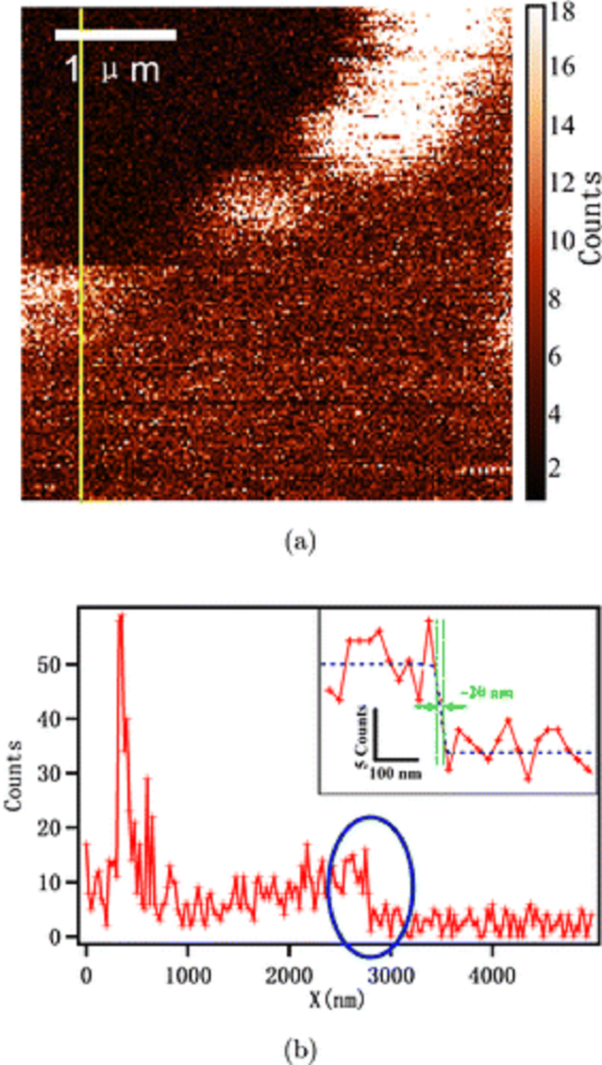 Fig. 6. from “High-resolution imaging of graphene by tip-enhanced coherent anti-Stokes Raman scattering “ by Xiaolong Kou  et al. (a) TECARS imaging of graphene. (b) Signal intensity measurement of the yellow line in (a). First single atom layer TECARS (tip-enhanced coherent anti-Stokes Raman scattering ) imaging on Graphene with the highest resolution about 20nm