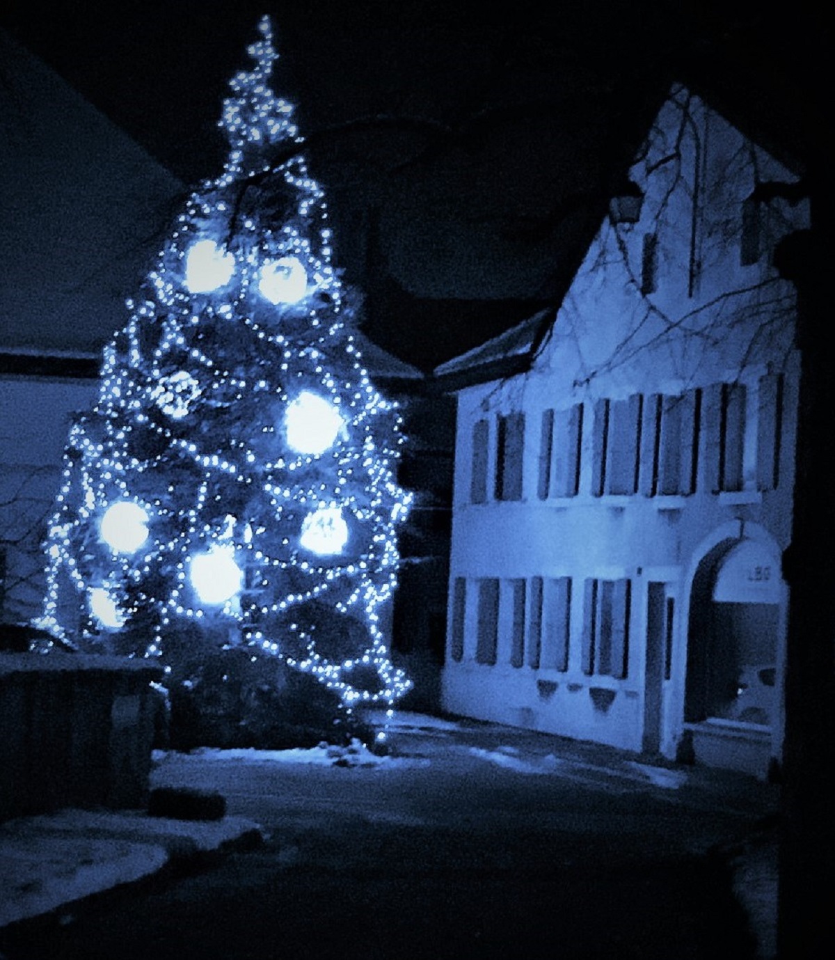 Illuminated Christmas tree at night time beside an old building