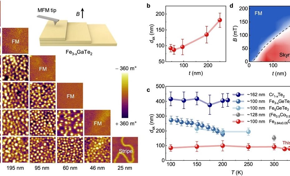 Fig. 4 from Zefang Li et al. (2024) “Room-temperature sub-100 nm Néel-type skyrmions in non-stoichiometric van der Waals ferromagnet Fe3-xGaTe2 with ultrafast laser writability”: Thickness-tunable skyrmions imaged by MFM. a Typical MFM images of RT skyrmions taken at different thicknesses and external magnetic fields. In these images, bright contrast in the images corresponds to spin down, while dark contrast corresponds to spin up relative to the sample normal direction. The inset shows the schematic for the MFM experiment with magnetic field perpendicular to the sample plane. b RT skyrmion diameter dsk versus sample thickness t at zero field. c Comparison for diameter dsk of field-free skyrmions and temperature T for various 2D vdW materials with a thickness around 100 nm, including Cr1+xTe234, Fe3-xGeTe255, Fe5GeTe224, (Fe0.5Co0.5)5GeTe231, and Fe2.84±0.05GaTe2 in this work. Error bars represent the standard error of skyrmion sizes averaged at various temperature. d Thickness and magnetic field dependence of RT skyrmion phase diagram. The color indicates the skyrmion density ρsk. The black dashed line shows the boundary between skyrmion and ferromagnetic phase. The magnetic force microscopy (MFM) measurements were performed with a commercially available Atomic Force Microscope and NANOSENSORSTM low-moment magnetic AFM tips PPP-LM-MFMR. The MFM measurements were carried out in an environment continuously flushed with argon gas to ensure effective protection.