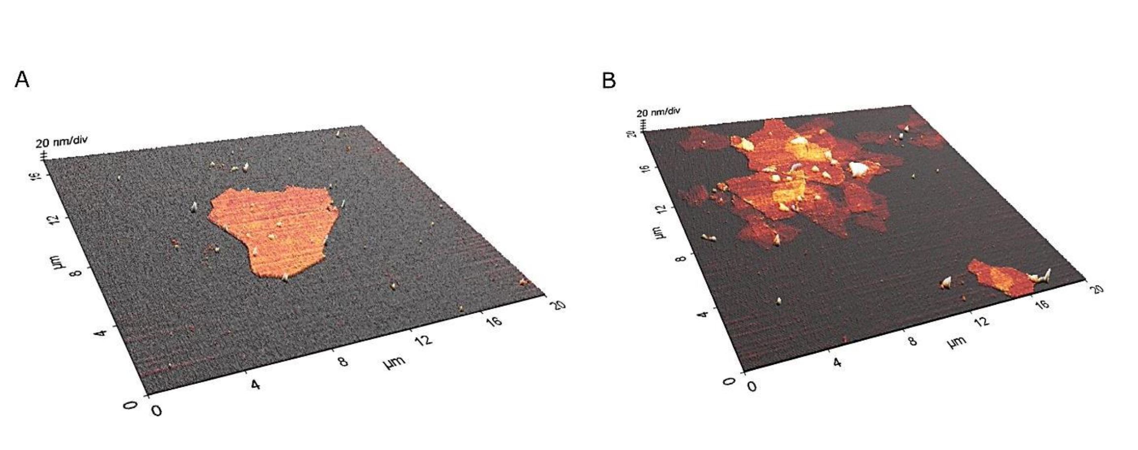 Carbon Thin-Film Electrodes as High-Performing Substrates for Correlative Single Entity Electrochemistry - news