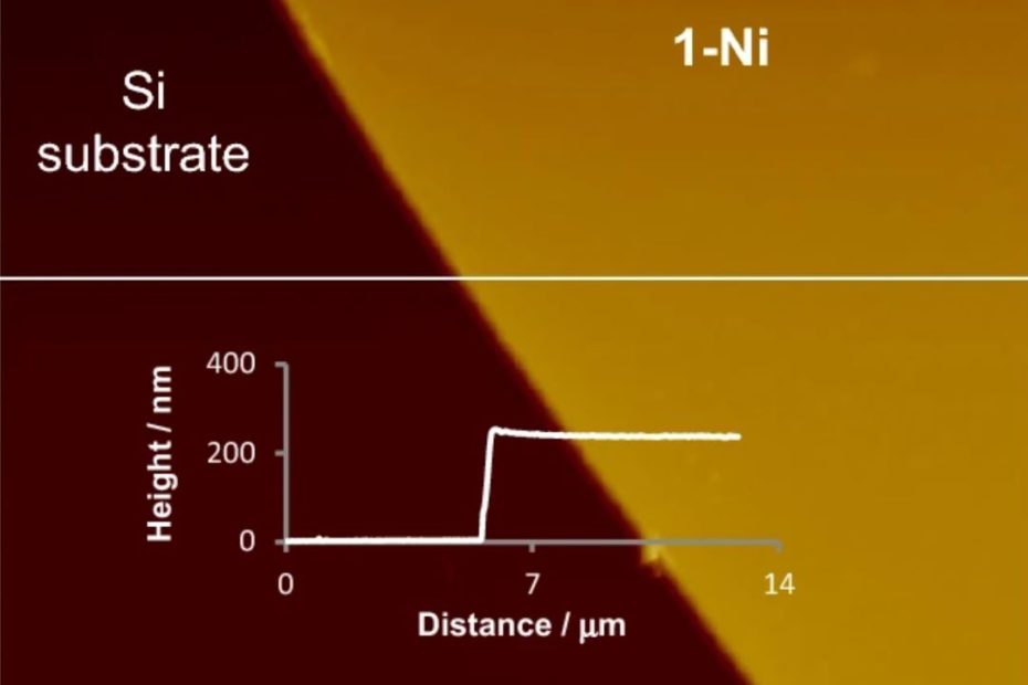 Fig. 2f from Kenji Takada et al. 2024 “A Bis(terpyridine)nickel(II)-Based Coordination Nanosheet: A Redox-Active Material with Flexibility and Transparency” Synthesis and morphology identification of 1-Ni. f Topographic AFM image of 1-Ni on a flat Si substrate and the cross-sectional analysis inset For the full figure please refer to the cited article. NANOSENSORS PointProbe Plus® PPP-NCL AFM probes were used for the characterization with atomic force microscopy.